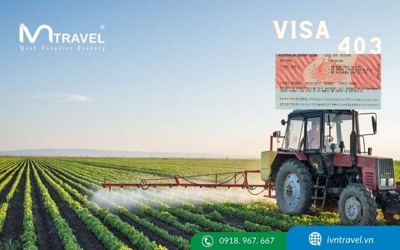 Tìm hiểu về visa lao động 403